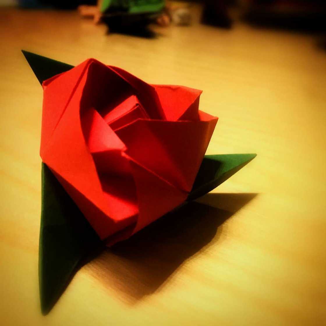 Origami Bloem Vouwen Stap Voor Tutorial Origami Handmade